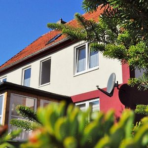 Villa Familienfreundliches Ferienhaus Mit Sauna Am Fusse Des Brockens à Elend Exterior photo