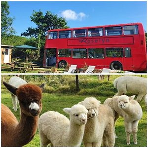 Villa Double Decker Bus On An Alpaca Farm Sleeps 8, 5 Mins Drive To Dartmoor à Bovey Tracey Exterior photo