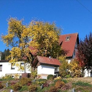 Appartement Fewo Auf Der Sonnenseite à Zwota Exterior photo