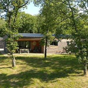 Villa Maison Moderne En Bois à Varaire Exterior photo