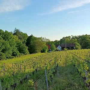 Villa Gite Au Coeur D'Un Vignoble à Saint-Aignan  Exterior photo