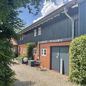 Appartement Landhaus Westerweg - Familie Petersen à Wanderup Exterior photo