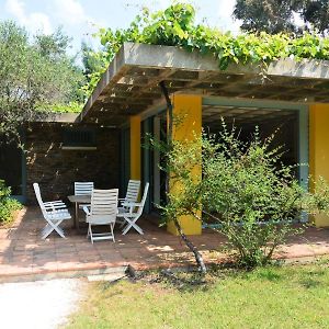 Residence Pamplemousses - Agreable Villa Fleurie Sur L'Ile De Porquerolles Mae-1731 Exterior photo