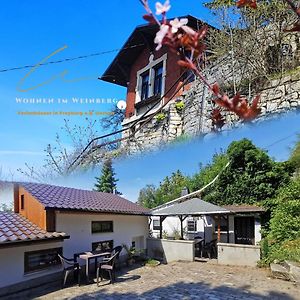 Villa Grosse Reblaus - Wohnen Im Weinberg In Der Toskana Des Nordens à Freyburg Exterior photo