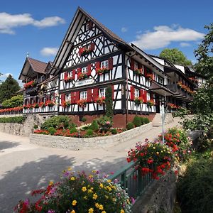 Hotel Rebstock Waldulm à Kappelrodeck Exterior photo