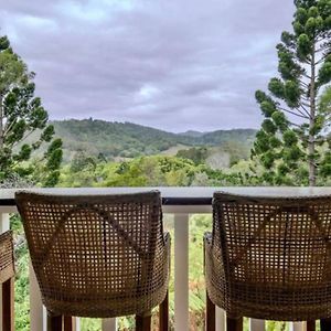 Appartement Acreage Near Currumbin Beach à Currumbin Valley Exterior photo