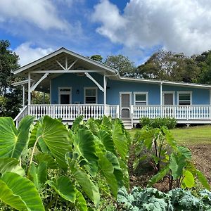 Villa Newly Renovated Farmhouse In Kealakekua Exterior photo