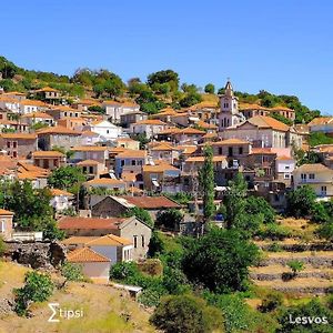 Villa Παραδοσιακός Οικισμός Manavi à Stipsi Exterior photo