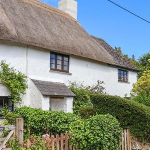 2 Freeland Cottages Newton Abbot Exterior photo