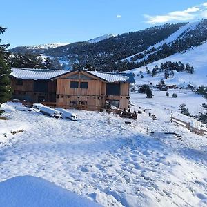 Villa Little Wooden Cabin à Greolieres Exterior photo