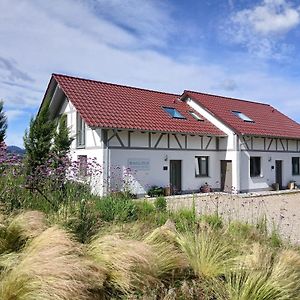 Villa Binzighof Ferienhaeuser à Oberkirch  Exterior photo