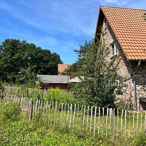 Villa Bispinger-Heidezauber-Haus-Weissdorn à Bispingen Exterior photo