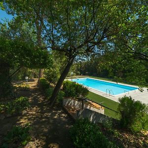 Villa Stipa With Pool By Quokka 360 - Close To Riviera Delle Palme Offida Exterior photo