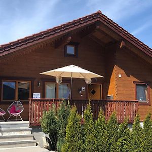 Villa Beautiful Log Cabin Near Wildkogel Arena à Sulzau Exterior photo