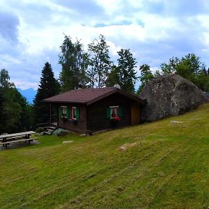 Appartement Chalet Al Sasso Da Pino, Telve Ospitar Exterior photo