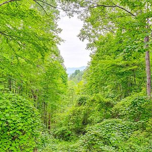 Villa Smoky Mountain Cabin With Fire Pit And Stunning Views! à Andrews Exterior photo