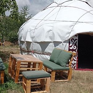 Appartement Kyzyl Jar Mountain Camping à Bosteri Exterior photo