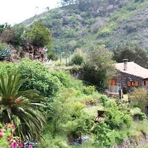 Villa Freistehendes Ferienhaus La Maleza In La Palmita à Agulo Exterior photo