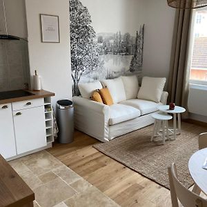 Hilo Charming Appartment Saint Laurent Sur Sane Exterior photo