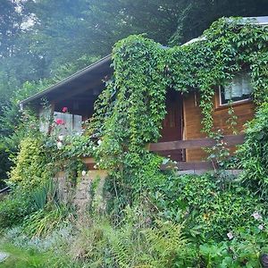 Appartement Romantische Gartenlaube Mit Blick Auf Die Elbe à Königstein Exterior photo