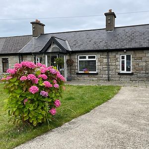 Villa Granite Bungalow à Dublin Exterior photo