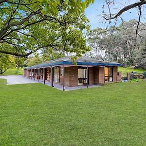 Villa Tree-Lined Donvale Nature Family Getaway Exterior photo