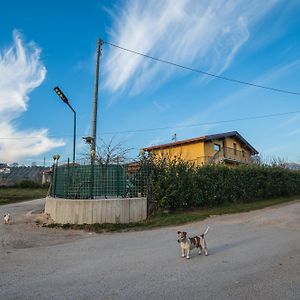 Bed and Breakfast Roberta House à Isernia Exterior photo