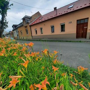 Hotel Kis Rigó vendégház à Salgótarján Exterior photo