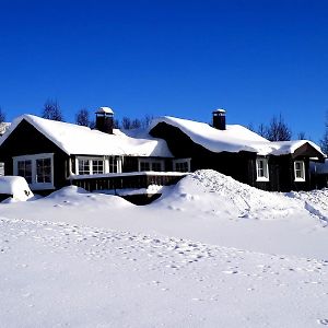 Villa Cozy, Well-Equipped And Family-Friendly Cabin In Geilo Exterior photo