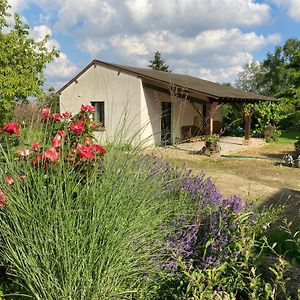 Villa Le Bois Neuf à Savigny-Sur-Braye Exterior photo