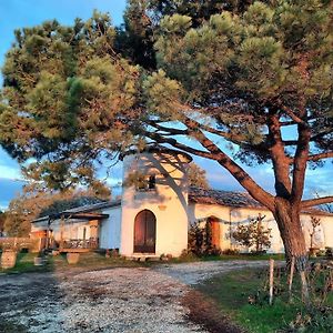 Villa Le Castel De Lamothe à Sauternes Exterior photo