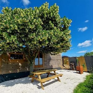 Villa Tiny House Petite Balneo Cheminee Exterieure à Lisle-sur-Tarn Exterior photo