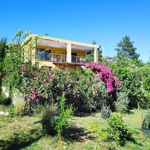 Appartement Cirali Sunny House à Kemer Exterior photo