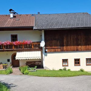 Ferienwohnung Loeffelberger Hallein Exterior photo