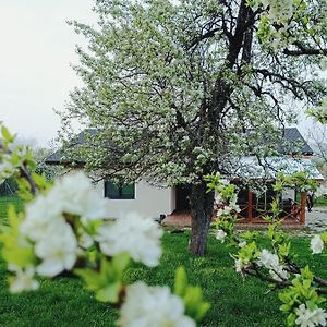 Villa Kesta Za Gosti Sofash à Stoevtsi Exterior photo