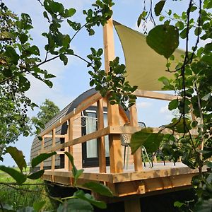 Hotel Tiny House De Skierroek à Westergeest Exterior photo