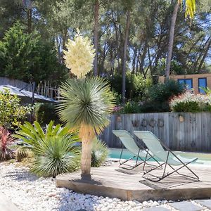 Charmant Studio Lodge Climatise Avec Jardin Et Vue Sur Le Pic Saint Loup Jacou Exterior photo