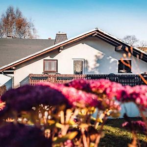 Villa Neu Ferienhaus Paditz Mit Pool à Oberscheibe Exterior photo