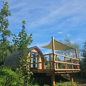 Hotel Tiny House De Piiptsjilling à Westergeest Exterior photo