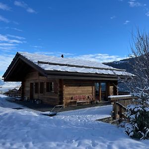 Villa Beautiful, Contemporary Chalet In Haute Nendaz à Saclentse Exterior photo