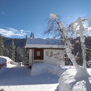 Hotel Ca' Del Bosco Selva di Cadore Exterior photo