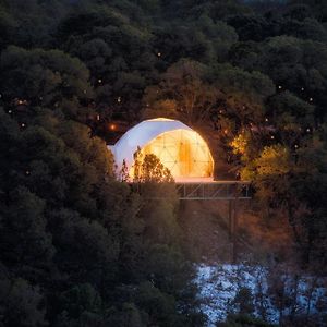 Villa Zia Geo Dome At El Mistico Ranch, Glamping à Nogal Exterior photo