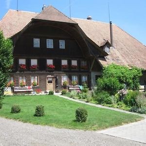 Appartement Bauernhof-Bleiche à Rohrbach Exterior photo