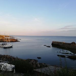 Villa Charmante Longere En Pierres Refaite A Neuf à Moëlan-sur-Mer Exterior photo