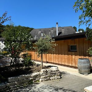 Appartement Your Cozy City Bungalow à Baden Exterior photo