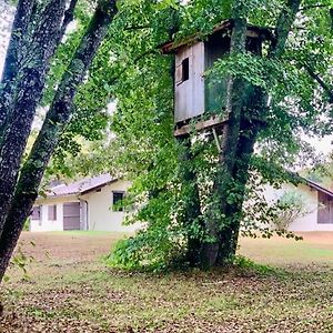 Villa Le Refuge Des Bois à Villandraut Exterior photo