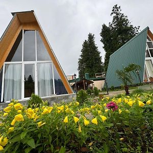 Skuri Cottages Batoumi Exterior photo