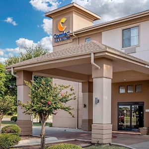 Comfort Inn&Suites Seguin Exterior photo