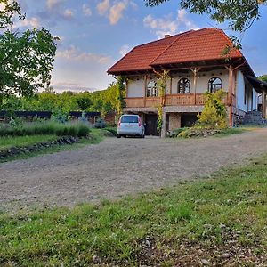 Villa Conacul De La Vie - Tibor Bakutzy à Vama  Exterior photo