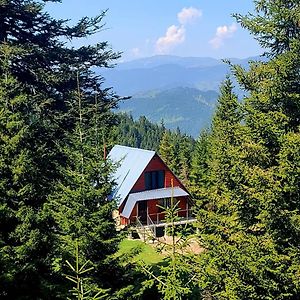 Villa Არწივის Ბუდე Eagle'S Nest à Goderdzi Exterior photo